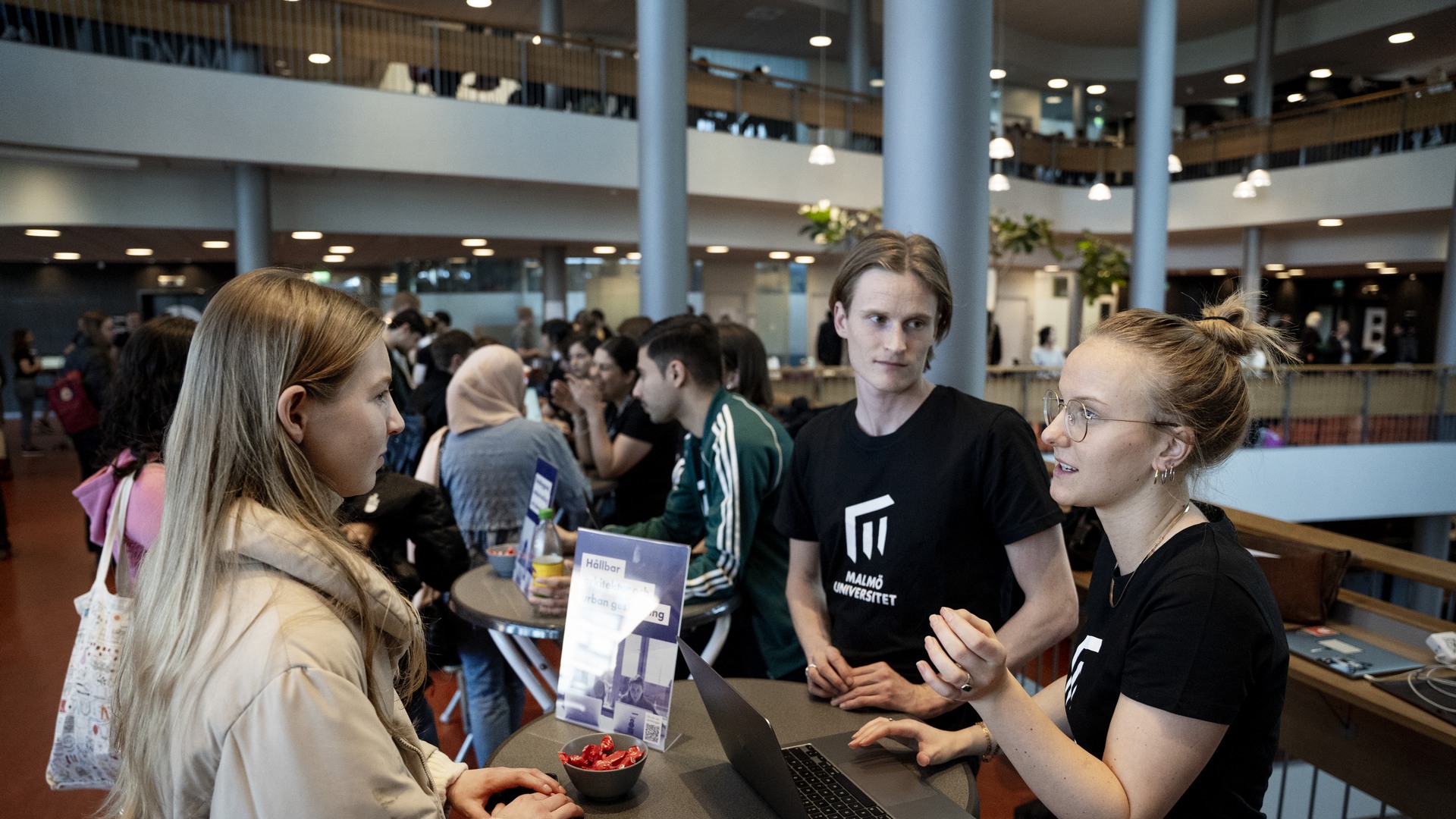 Studentambassadör Och Digital Ambassadör | Studentwebben