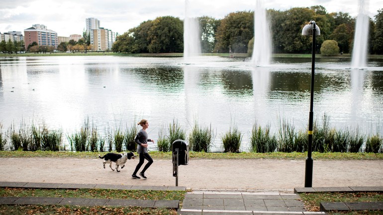 Person joggar med hund i Pildammsparken med fontäner i dammen i bakgrunden.