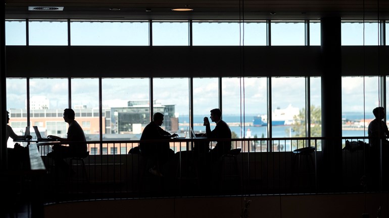 "Don't panic!" - a zoom event by Career Support on how to fetch that career