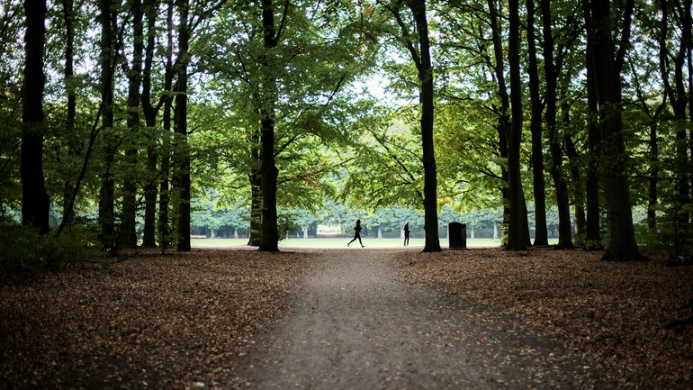 Parkmiljö med person som joggar en bit från kameran.