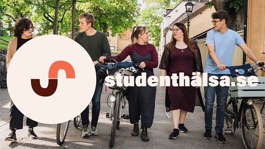 Students are walking with their bikes.