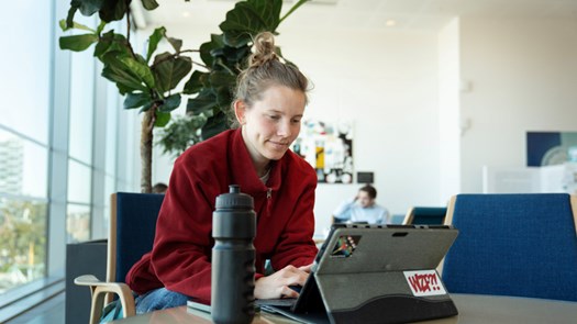 A student sitting in front of a computer.