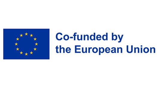 Co-funded by the EU logo