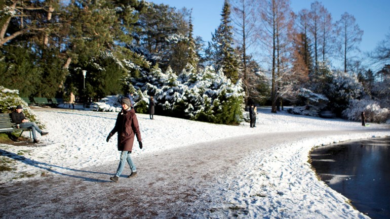 Person går promenad i Slottsparken under vintersäsong.