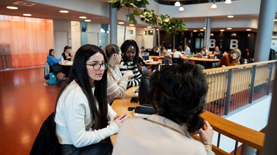 Niagara, Vår, Studenter, Eldina Puhovic,Beställare: Maria Crona