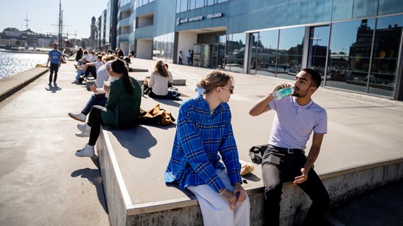 Studenter äter lunch i solen.