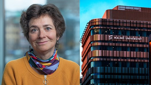 Carina Sild Lönroth