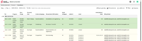 Textschema med elva olika kolumner och fyra rader med schemaposter.